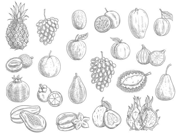 Online coloring book: Fig and other fruits coloring book